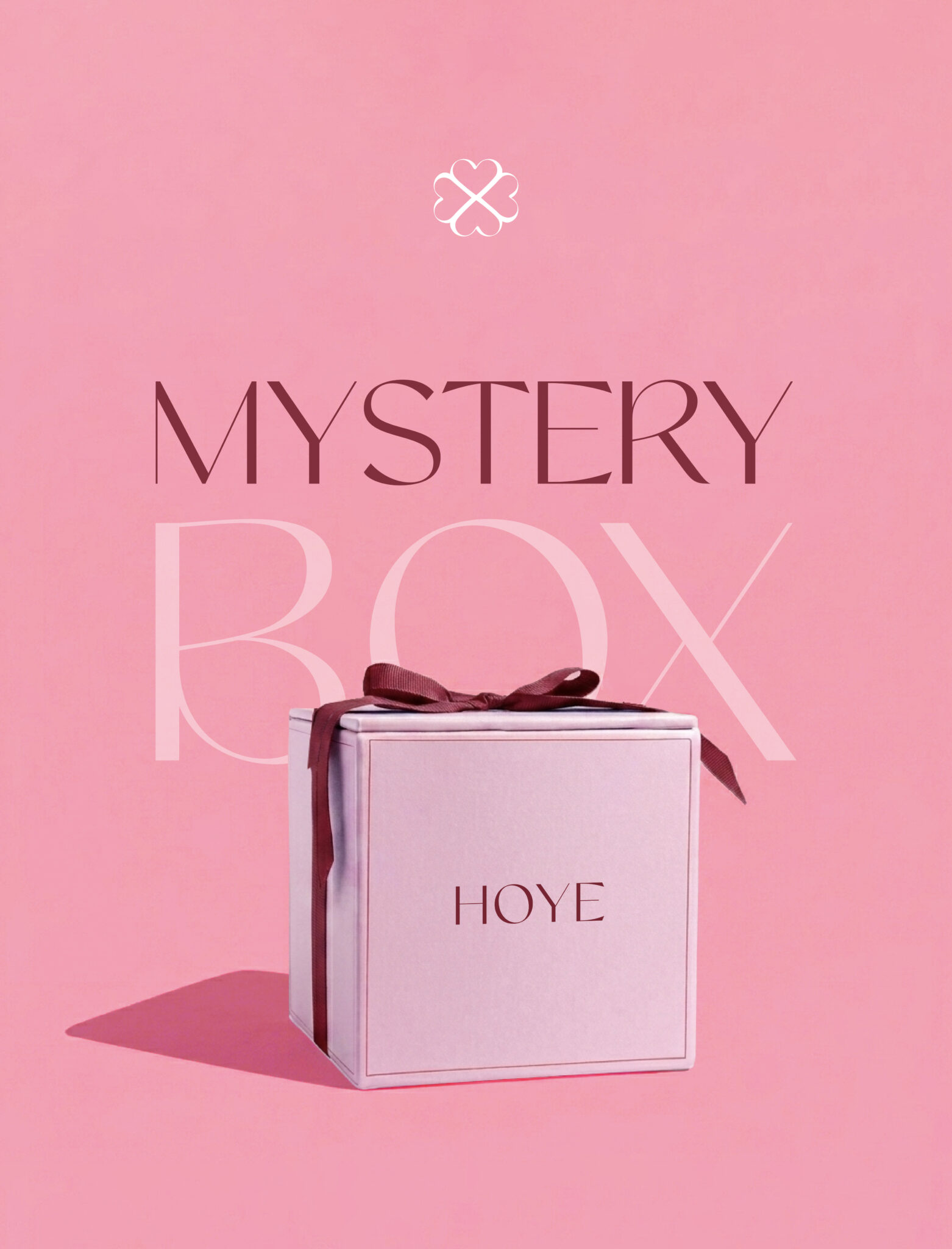 hoye mystery box